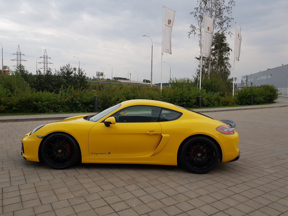 Cayman gt4 981