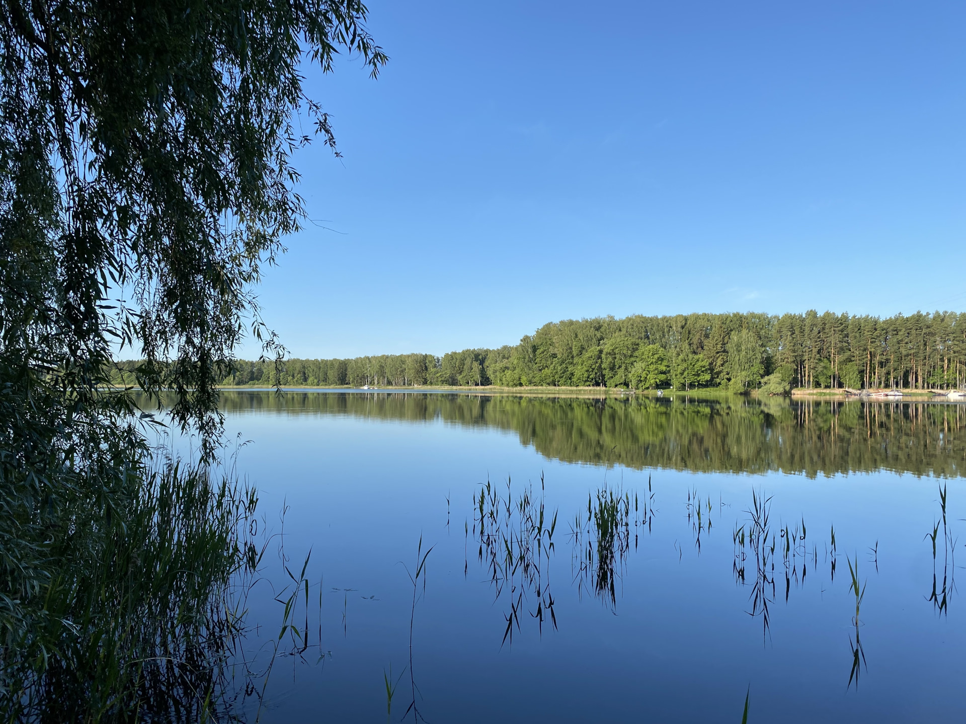 Истринское водохранилище рыба