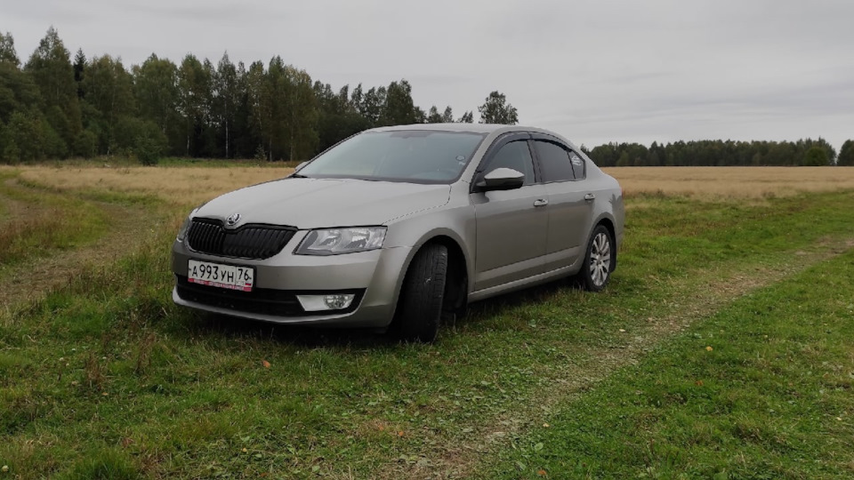Skoda Octavia ленивая...