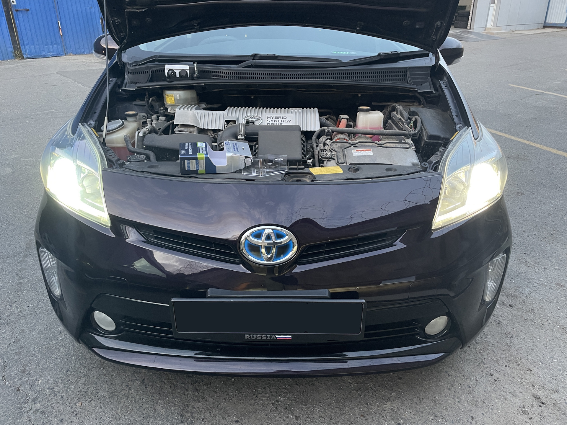 Лампы D4S MTF — Toyota Prius (30), 1,8 л, 2012 года | запчасти | DRIVE2