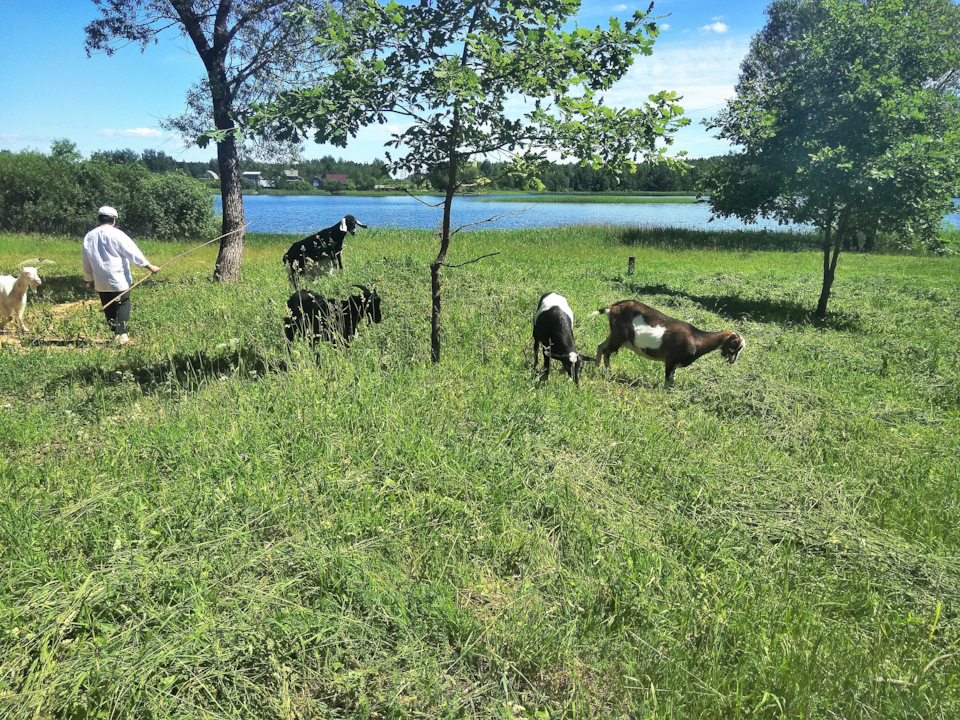 Когда менять подшипник ступицы на киа соренто - 92 фото