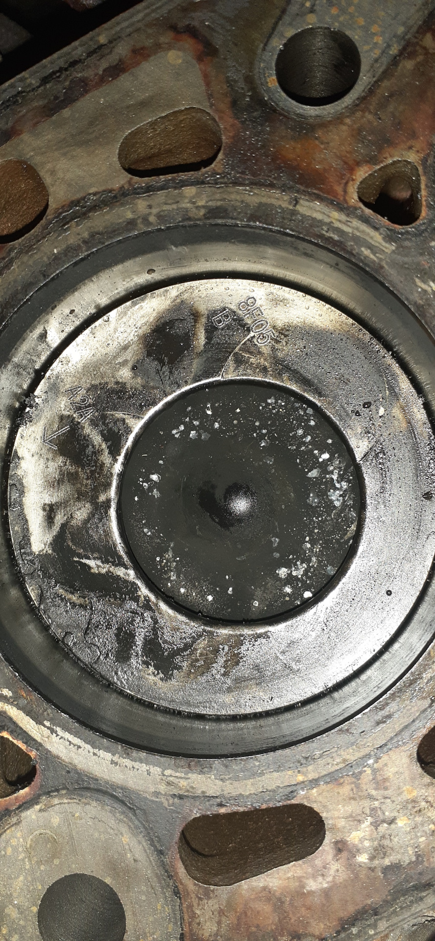 Фото в бортжурнале Ford Focus Wagon II