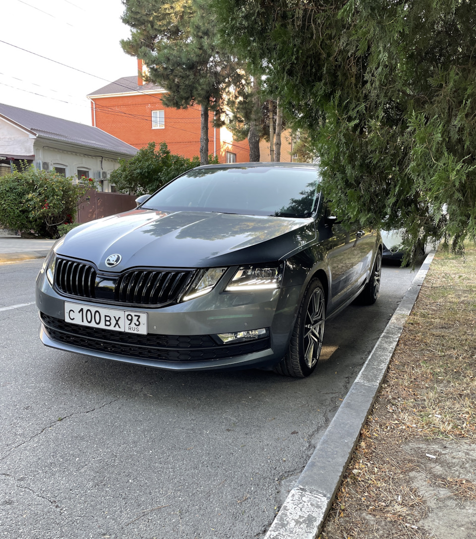 Фото авто и мысли насчёт спойлера — Skoda Octavia A7 Mk3, 1,4 л, 2017 года  | просто так | DRIVE2