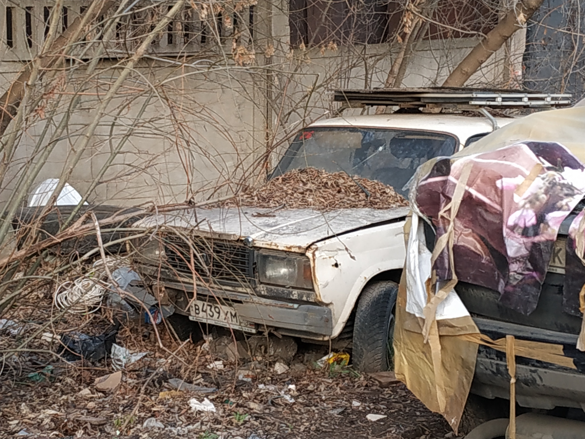 брошенные автомобили в москве