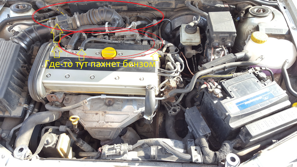 Запах бензина из-под капота SOS — Opel Vectra B, 2 л, 1999 года ...