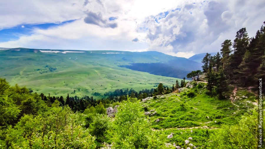 что значит альпийские луга. Смотреть фото что значит альпийские луга. Смотреть картинку что значит альпийские луга. Картинка про что значит альпийские луга. Фото что значит альпийские луга