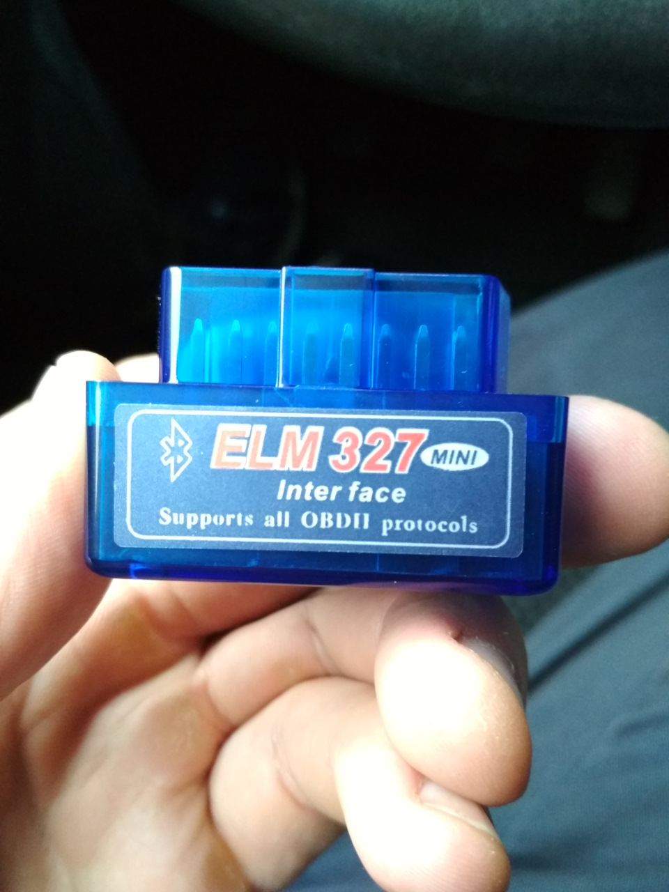 Elm 9. Elm 9