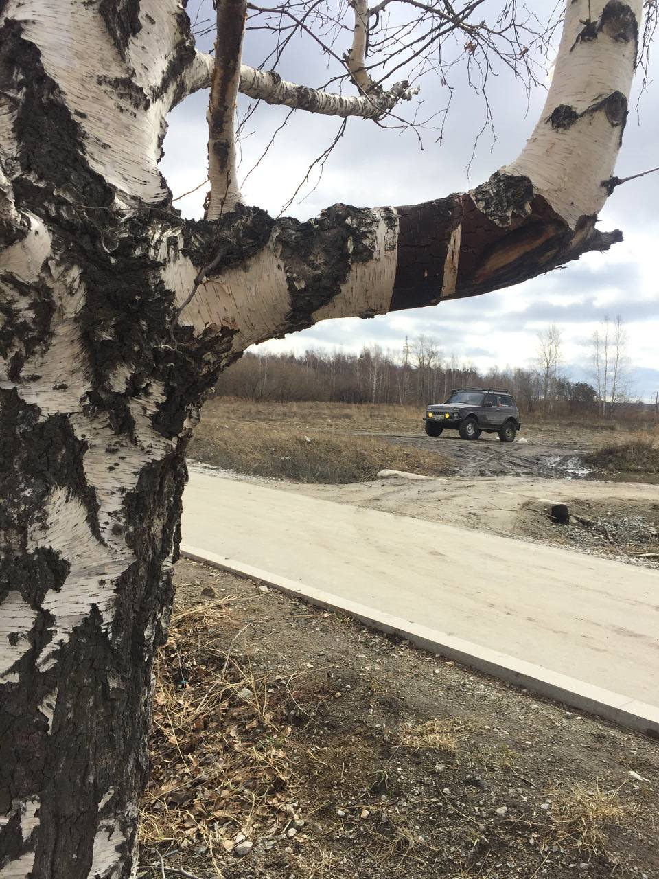 Фото в бортжурнале Lada 4x4 3D