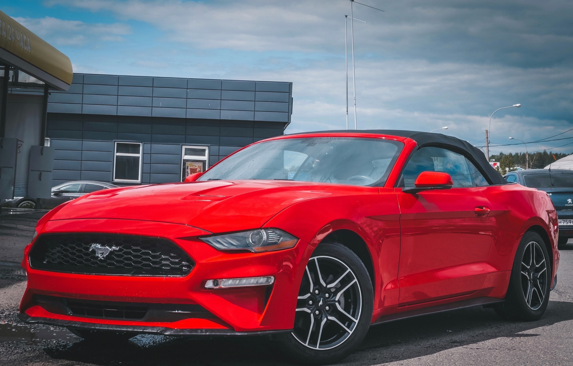 Ford Mustang Gray Perfomance