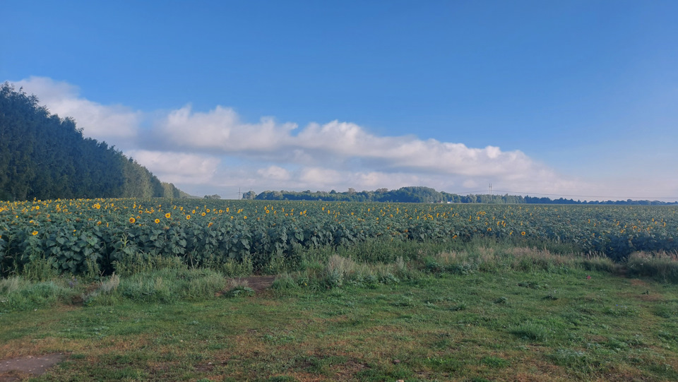 Отпуск 2023 (СПб-Парк Патриот-Волгоград-Спб). День 4. — ГАЗ Соболь 4х4 ...