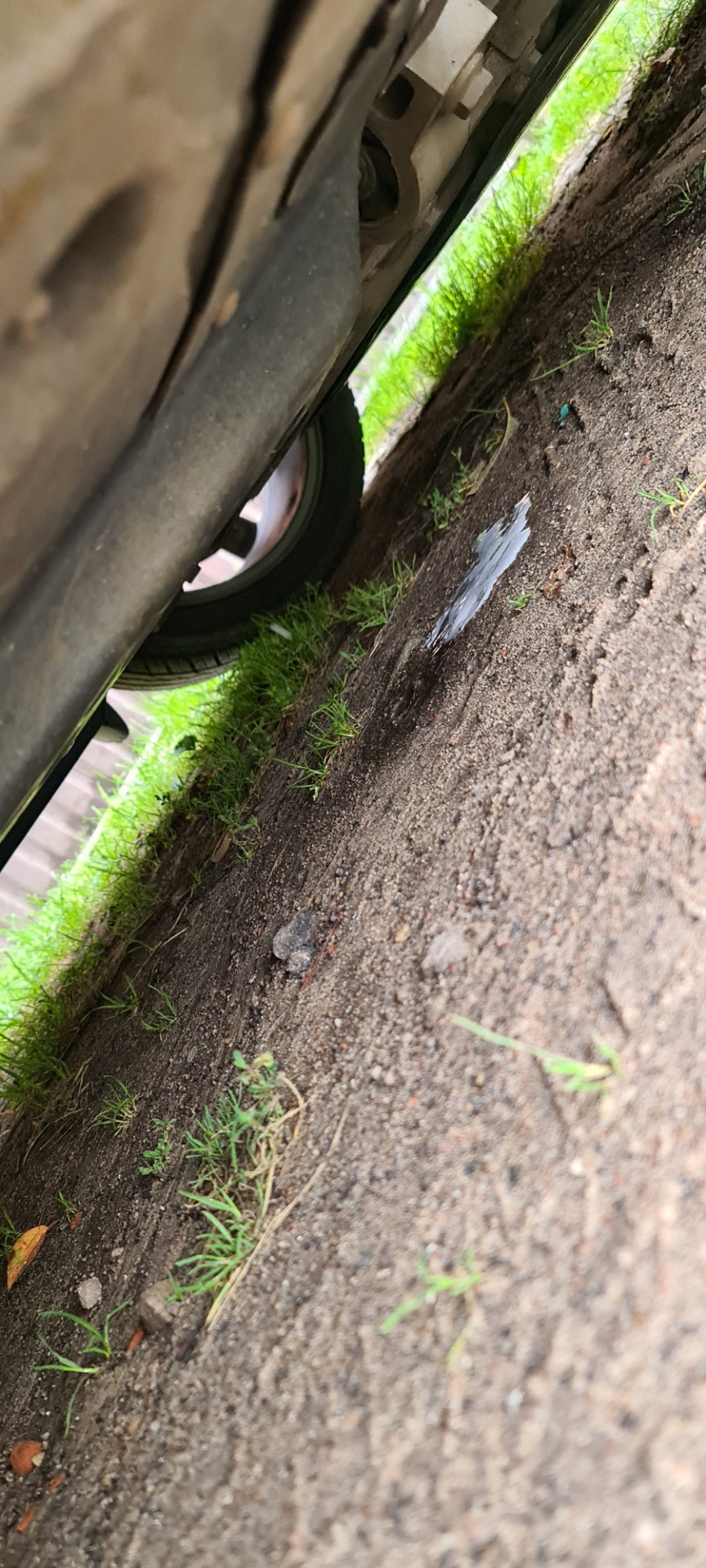 Чистка и дезинфекция испарителя кондиционера. — Volkswagen Golf Mk5, 1 ...