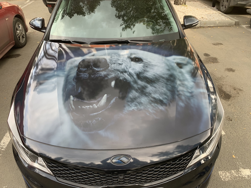 Фото в бортжурнале KIA Optima (4G)