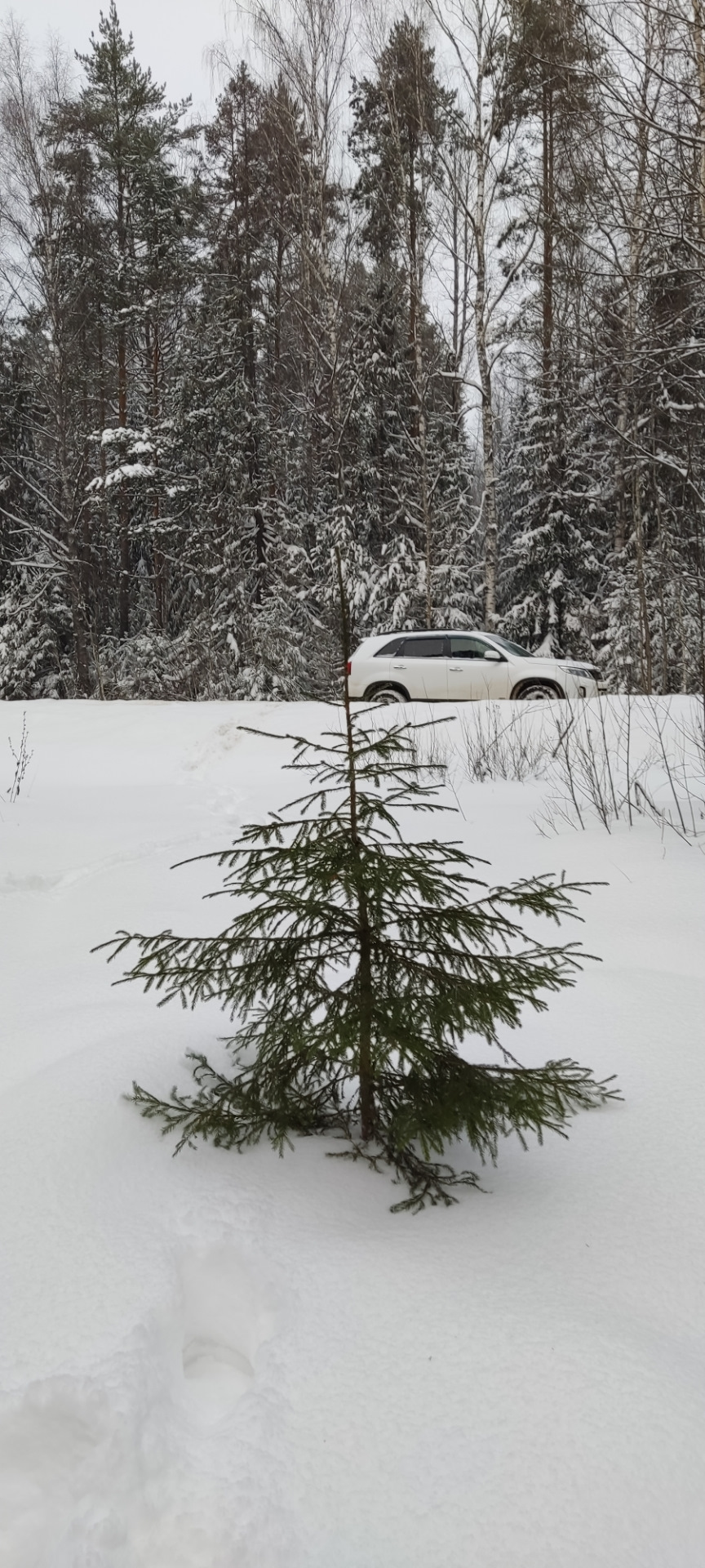 Фото в бортжурнале KIA Sorento (2G)