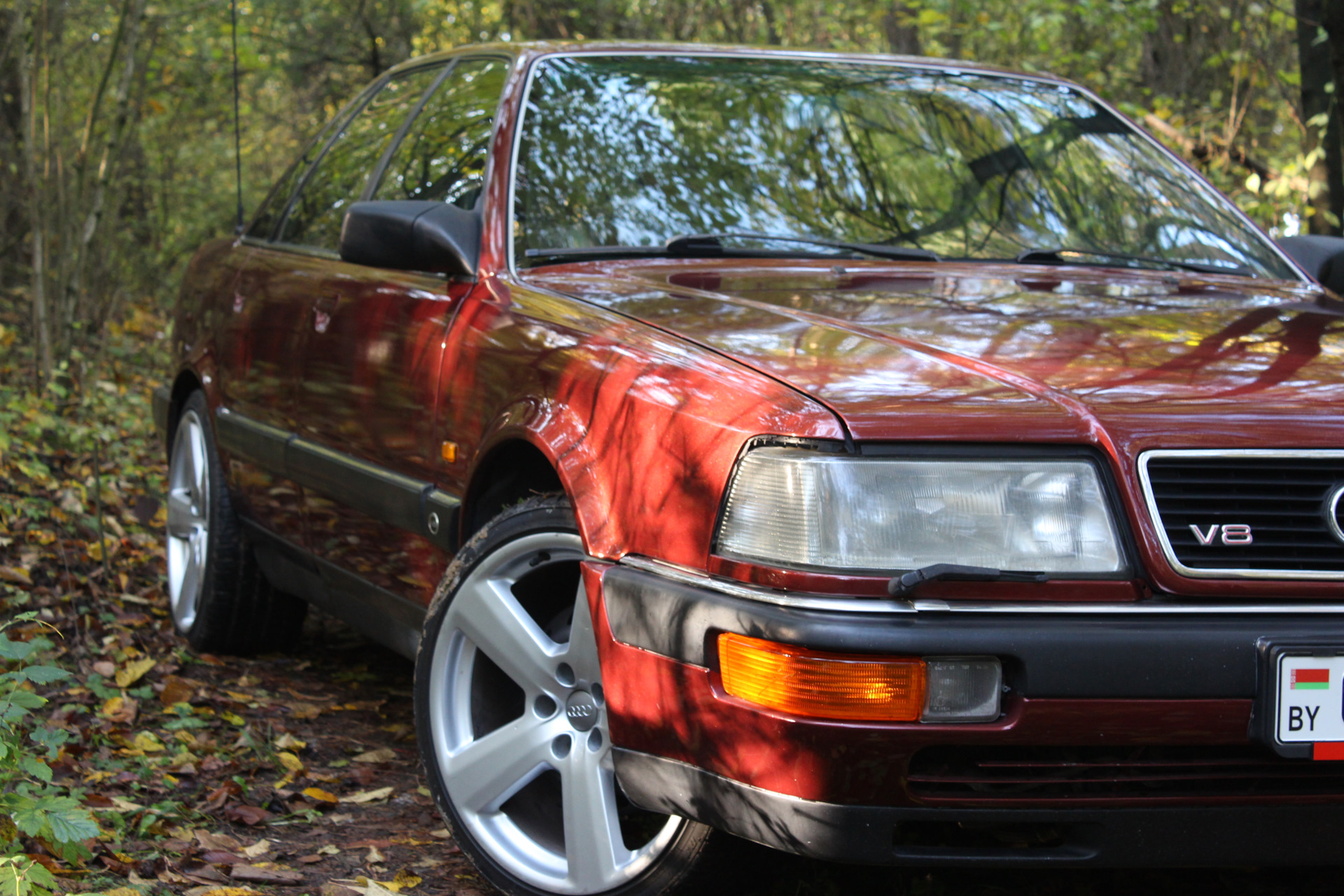 Краткие итоги ещё одного полугодия, а также осенняя фотосессия — Audi V8,  4,2 л, 1992 года | фотография | DRIVE2