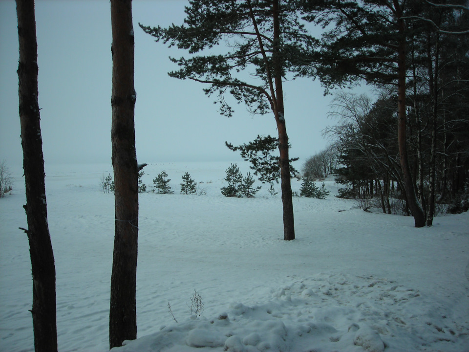 Фото в бортжурнале Renault Sandero 2G