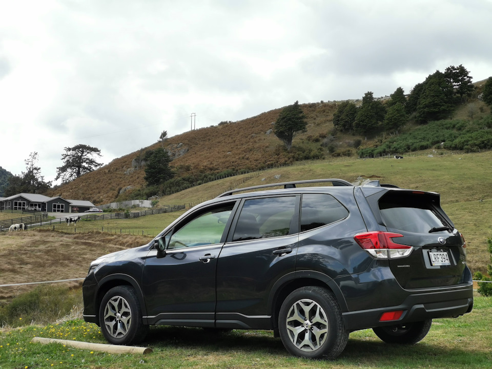 Forester sk5