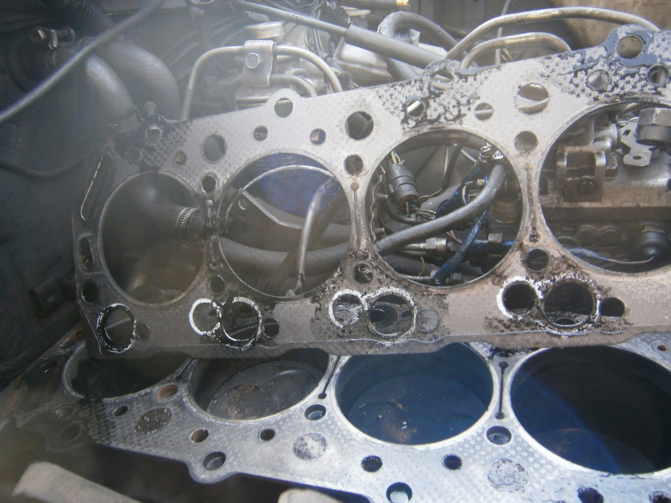 Замена салонного фильтра на угольный — KIA Ceed (3G), 1,4 л, 2019 года ...