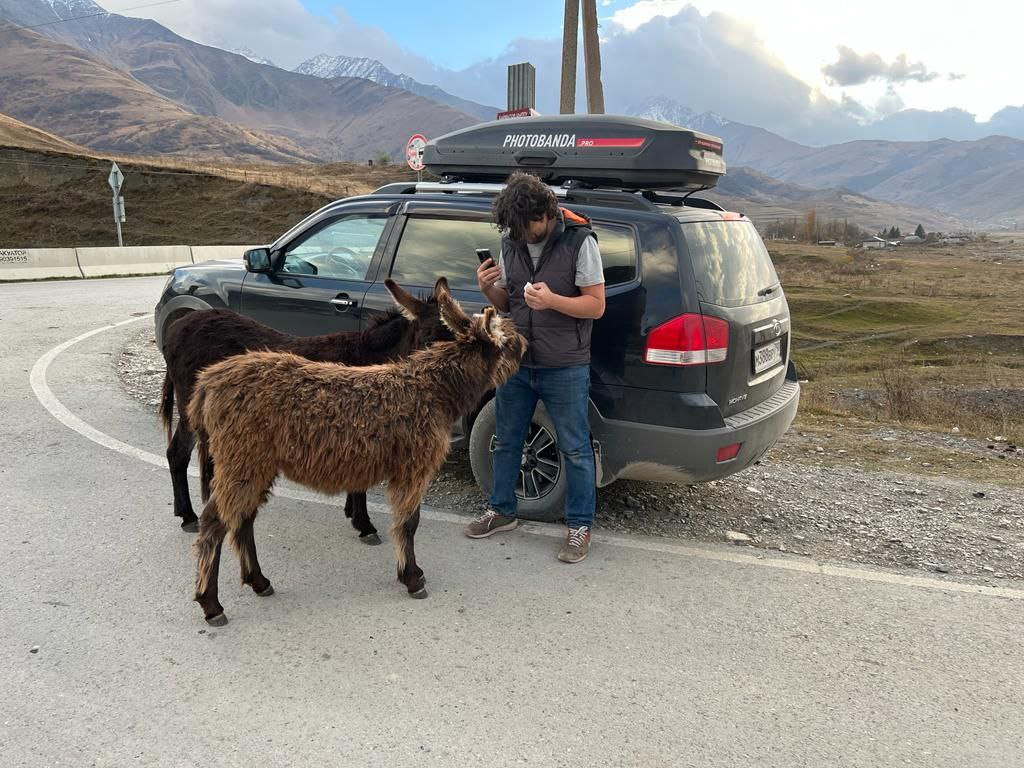Течь бензобака KIA Mohave — KIA Mohave (HM), 3 л, 2011 года | поломка ...