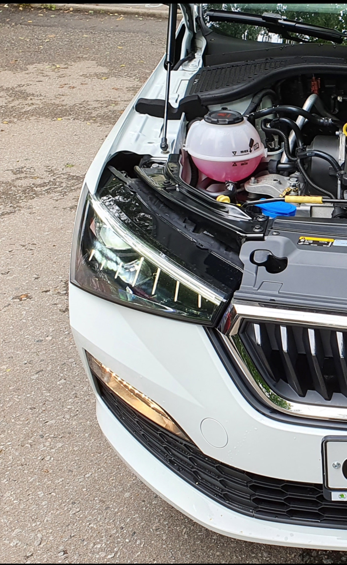 Led лампы в ПТФ Optima i-Zoom 5100K — Skoda Rapid (2G), 1,6 л, 2020 ...