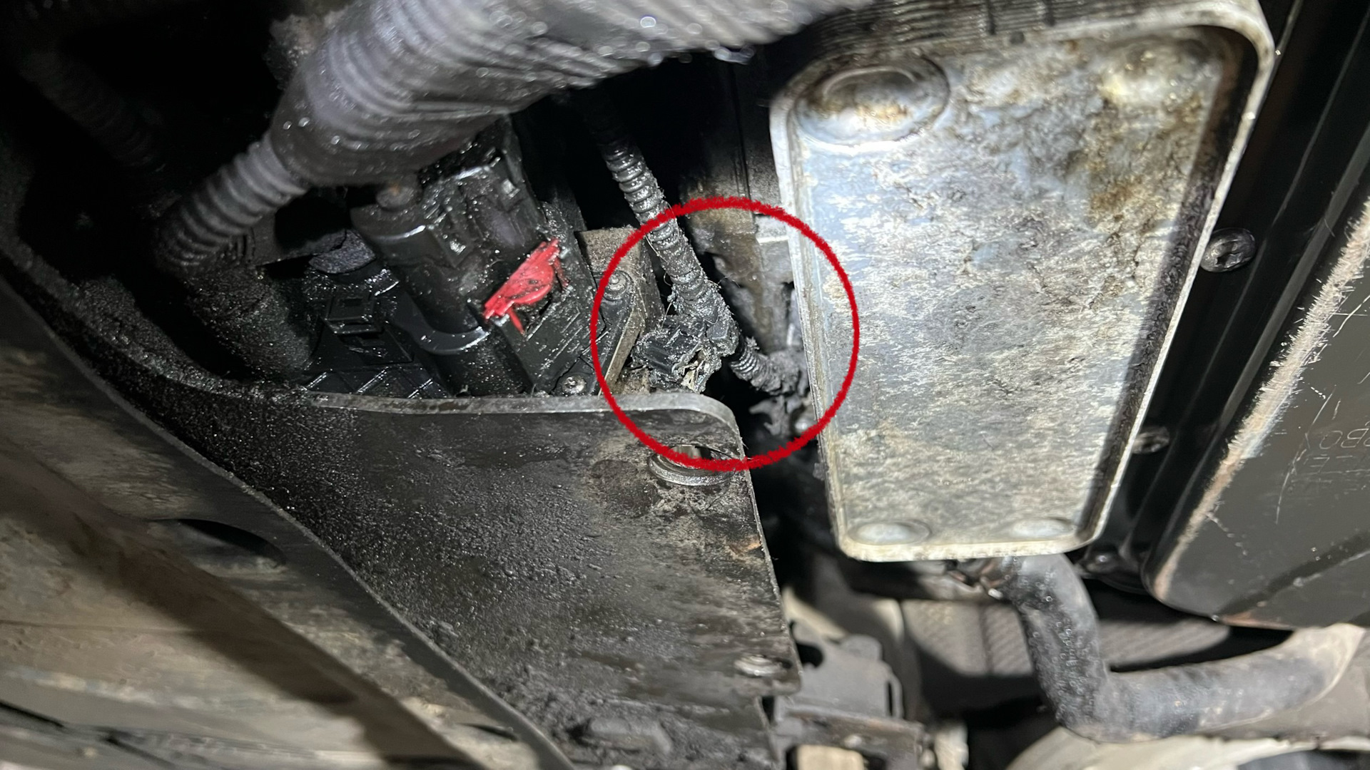 Замена масла в dl501 — Audi Allroad (C7), 3 л, 2012 года | плановое ТО ...