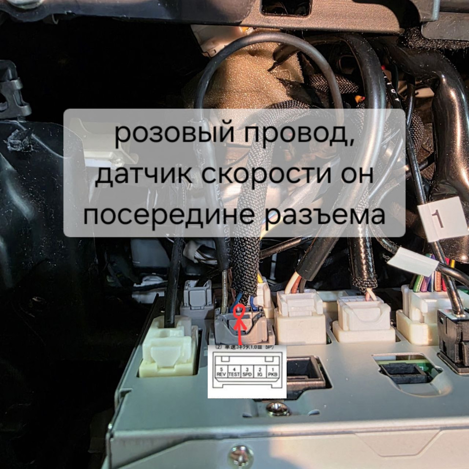 За балалайкой находим Сигнал скорости — Toyota Tank