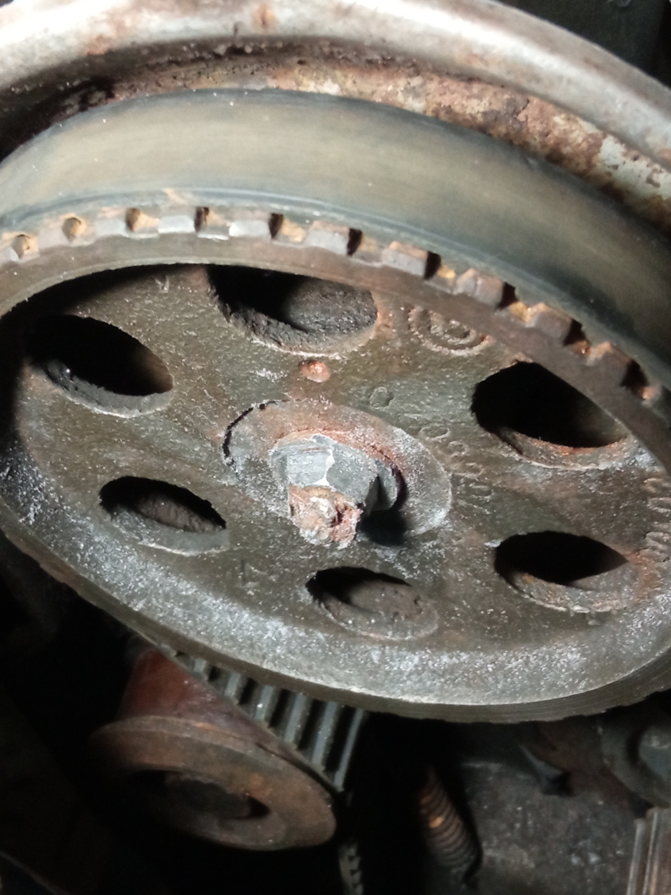 Фото в бортжурнале ЗАЗ 1103