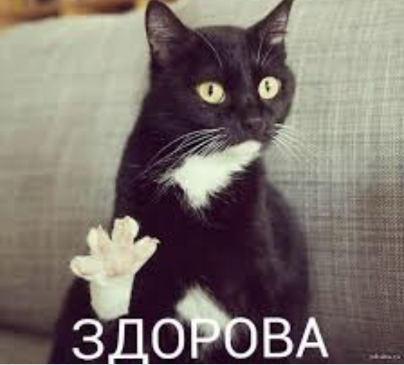 Благодарность для админов. - Opel Omega B, 2 л, 1994 года просто так DRIVE2