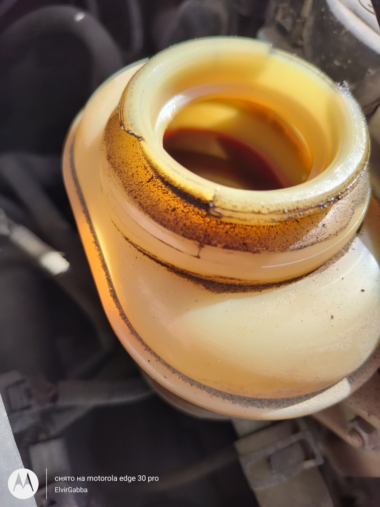 Течь из под крышки бачка ГУРа — Chevrolet Lacetti Sedan, 1,6 л, 2008 ...