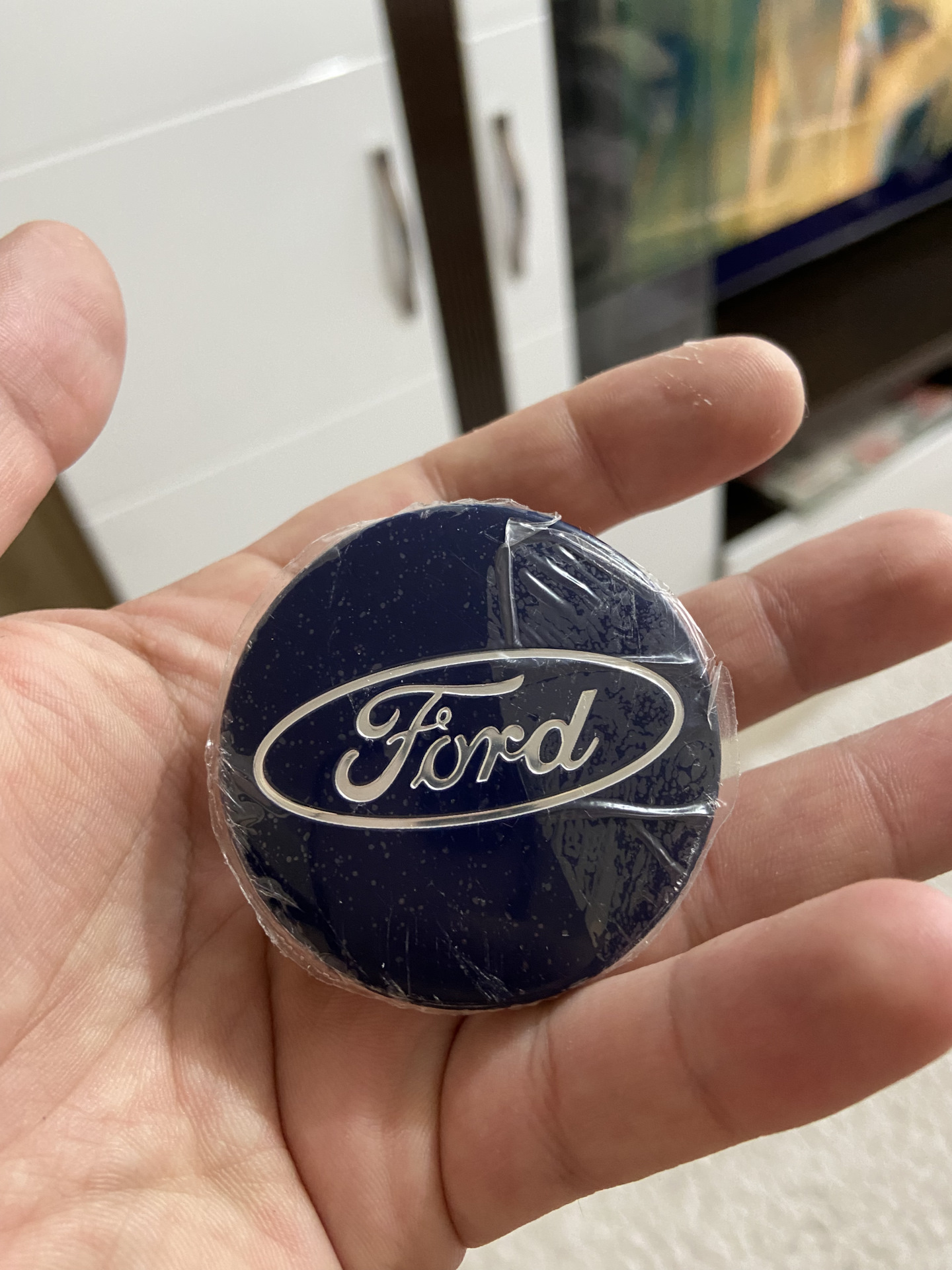 Колпачки центрального отверстия литого диска.Отзыв. — Ford Focus ...