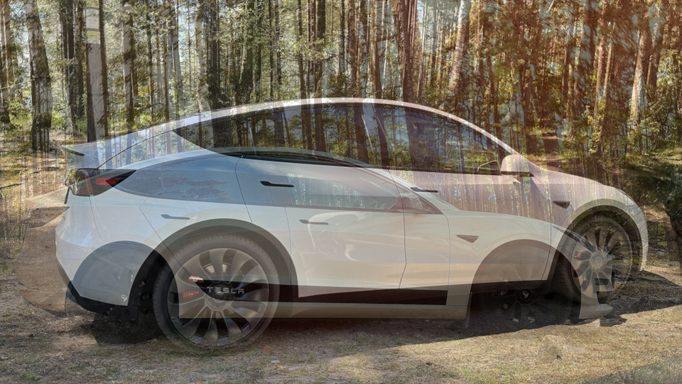 Фото в бортжурнале Tesla Model 3 (1G)