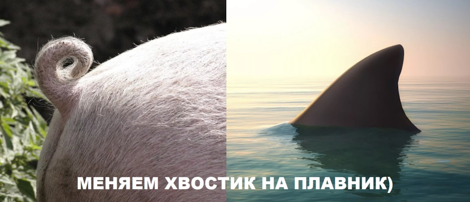 Аллегорическое сравнение))) — KIA Sorento (2G)