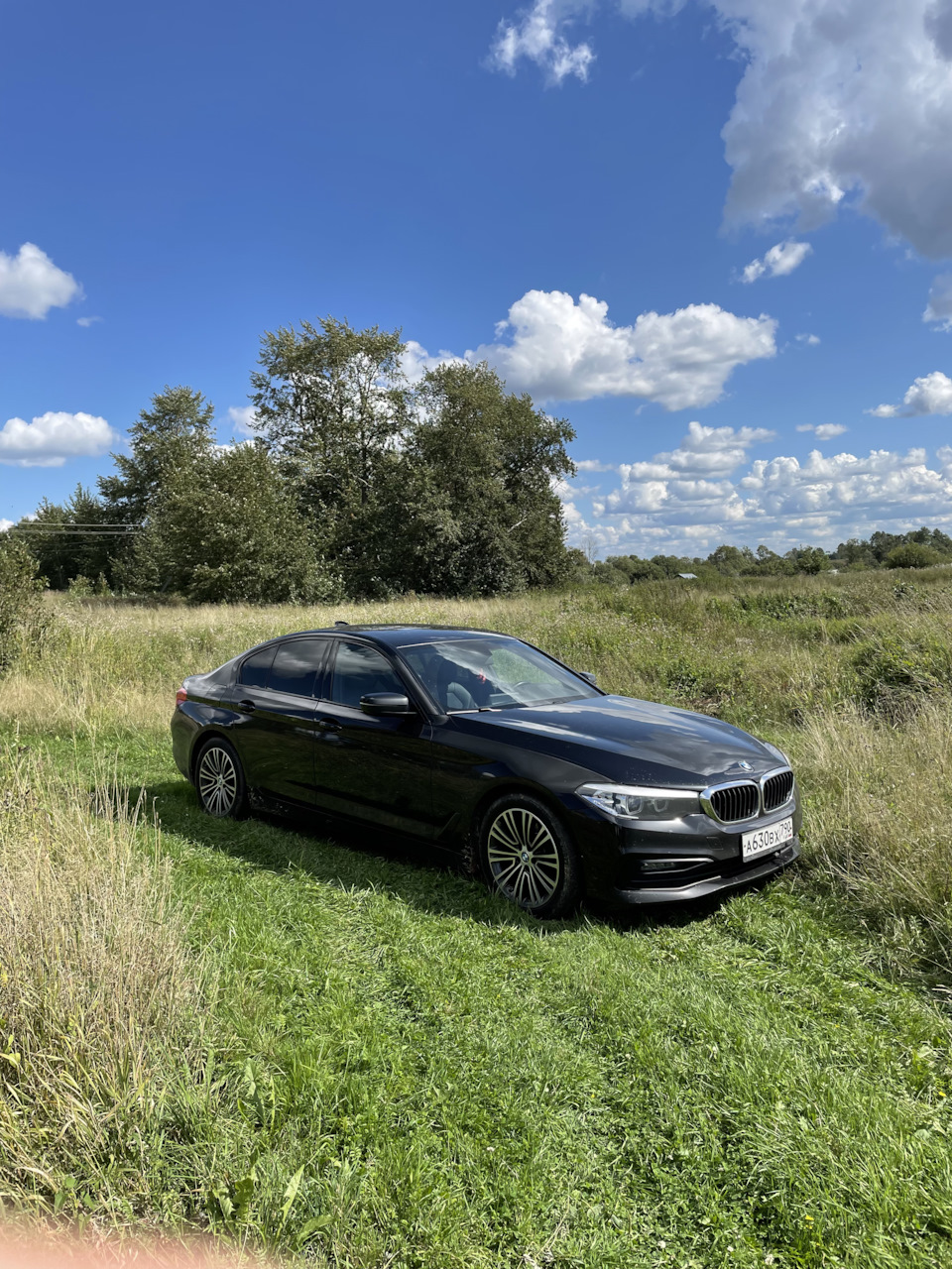 Ну внешне чисто Такси! — BMW 5 series (G30), 2 л, 2019 года | обкатка |  DRIVE2