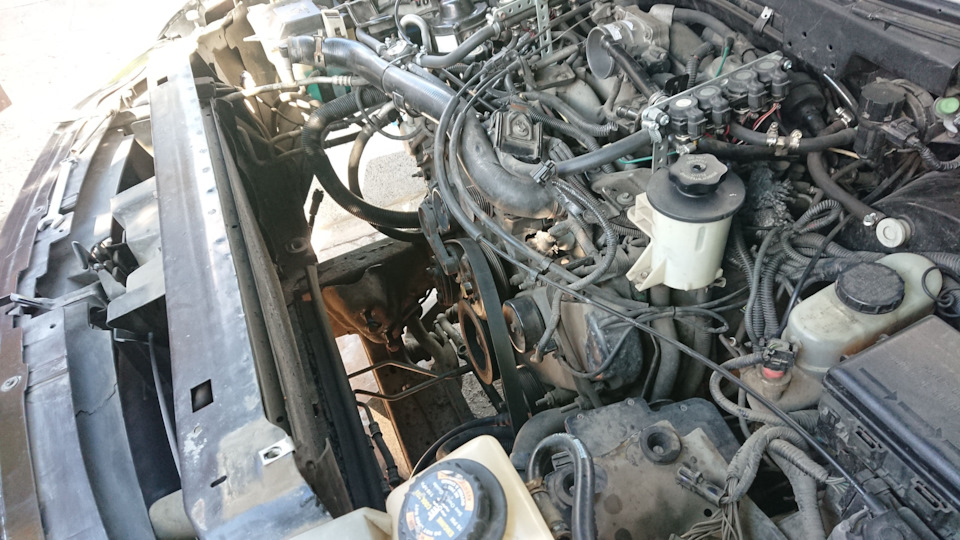 Фото в бортжурнале Ford Expedition (1G)