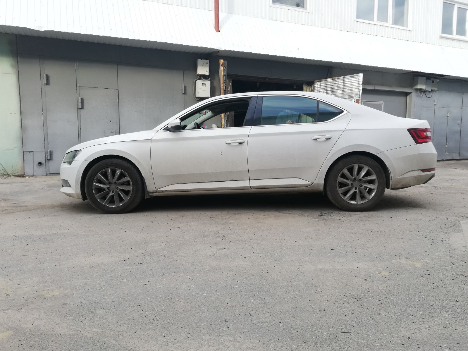 Заскрипело что то после перехода на евро подвеску — Skoda Superb Mk3, 1,8  л, 2017 года | наблюдение | DRIVE2