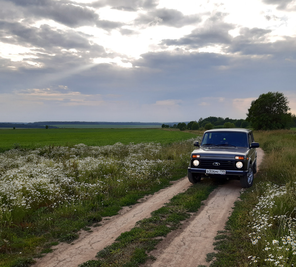 Заднее поле фото