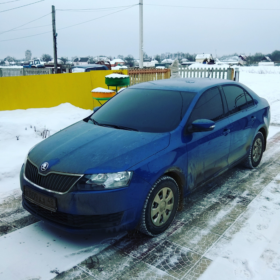 Тонировка Skoda Rapid синий