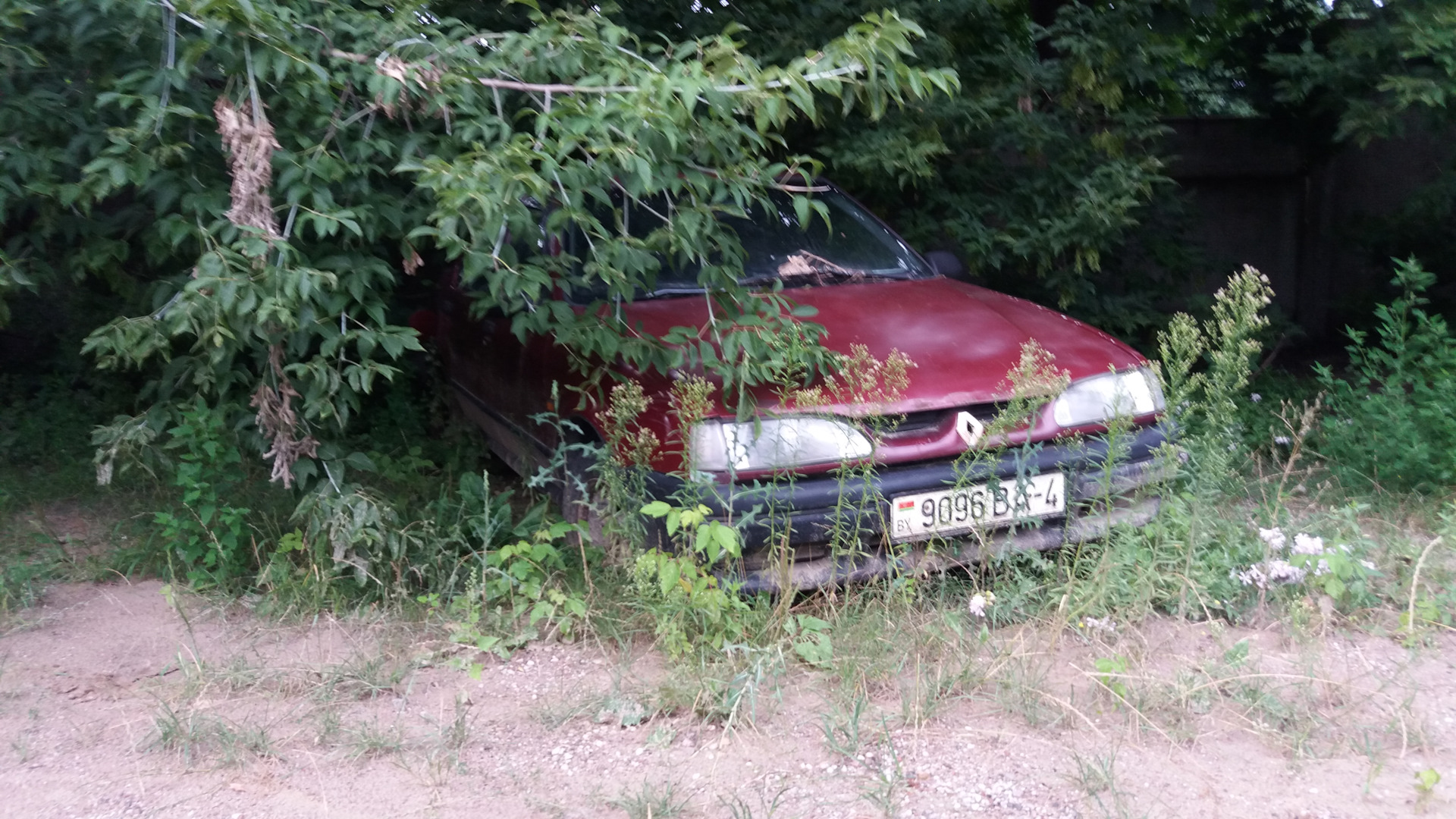 Рено Гродно — Сообщество «Брошенные Машины» на DRIVE2