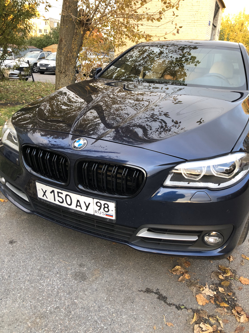 Ноздри и спойлер — BMW 5 series (F10), 2 л, 2016 года | стайлинг | DRIVE2