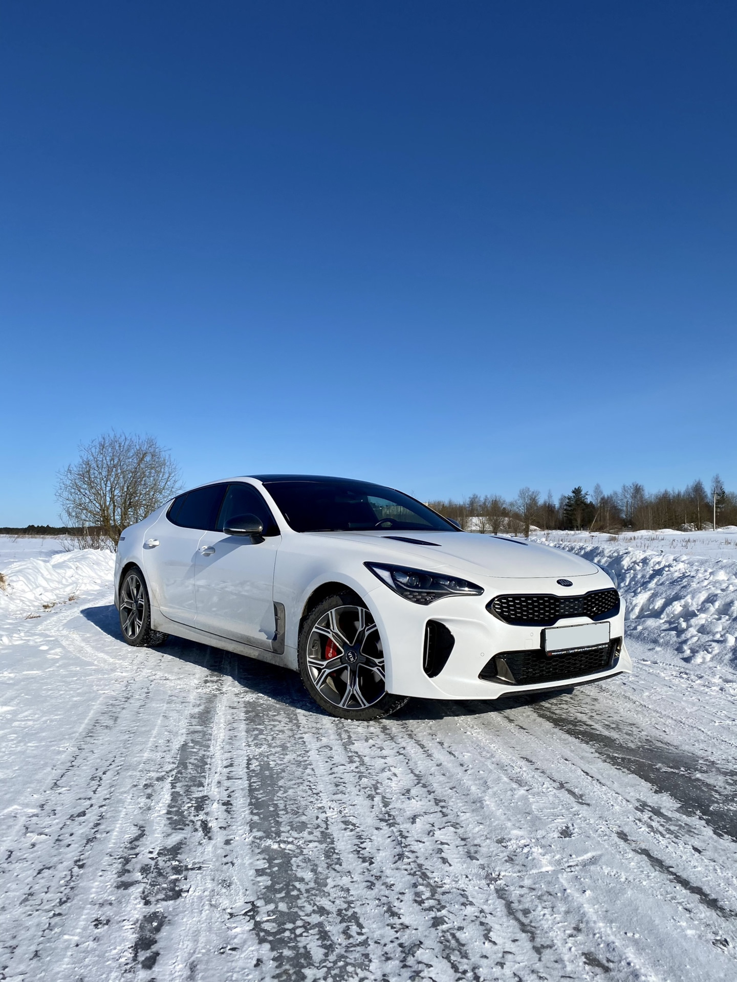 История покупки, первые впечатления — KIA Stinger, 3,3 л, 2018 года |  покупка машины | DRIVE2