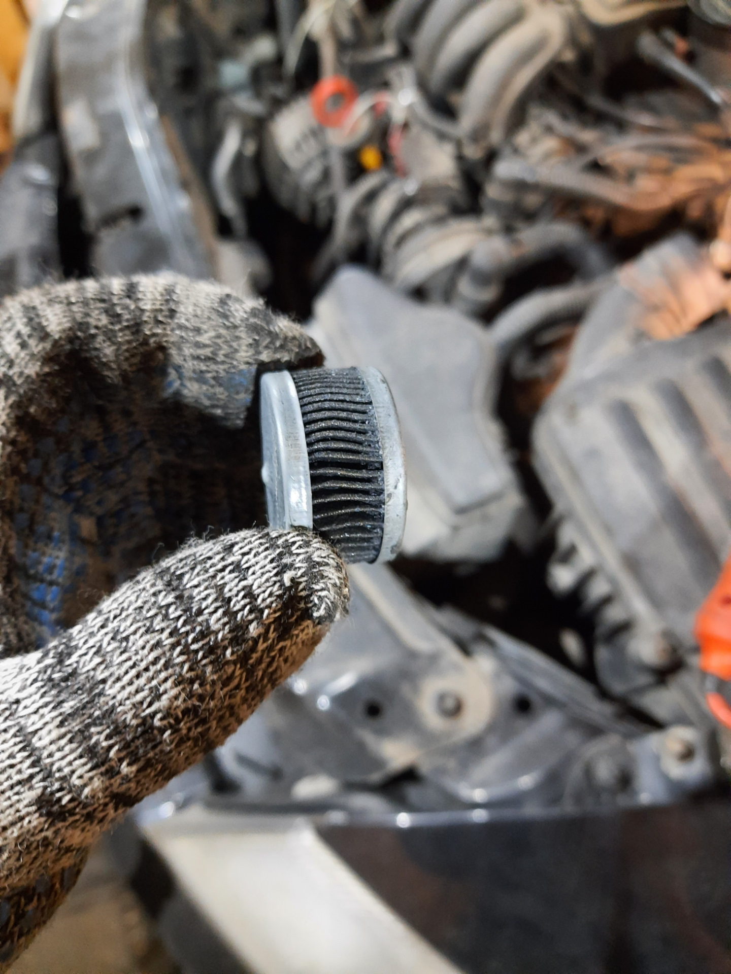 Замена фильтра гбо — Skoda Octavia A5 Mk2, 1,6 л, 2012 года | своими ...