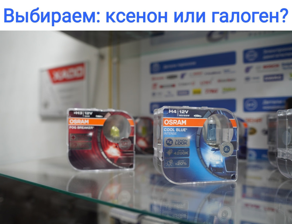 Ксенон или галоген? — Europe-Car на DRIVE2