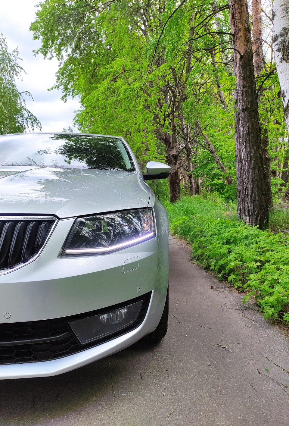 38 — Детейлинг своими руками 🚗 — Skoda Octavia A7 Mk3, 1,4 л, 2014 года |  мойка | DRIVE2