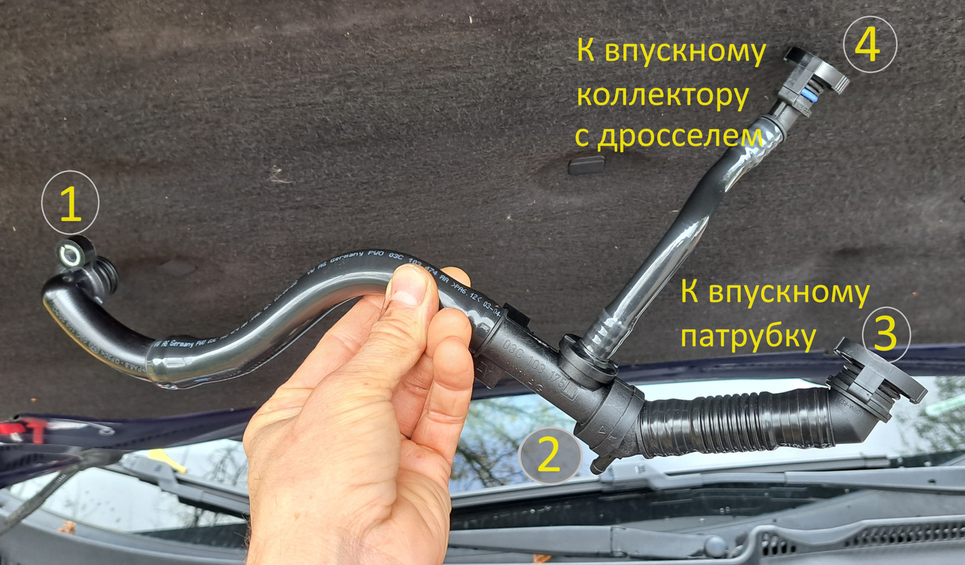 Клапан картерных газов 1.4 TSI — Volkswagen Golf Mk6, 1,4 л, 2010 года ...