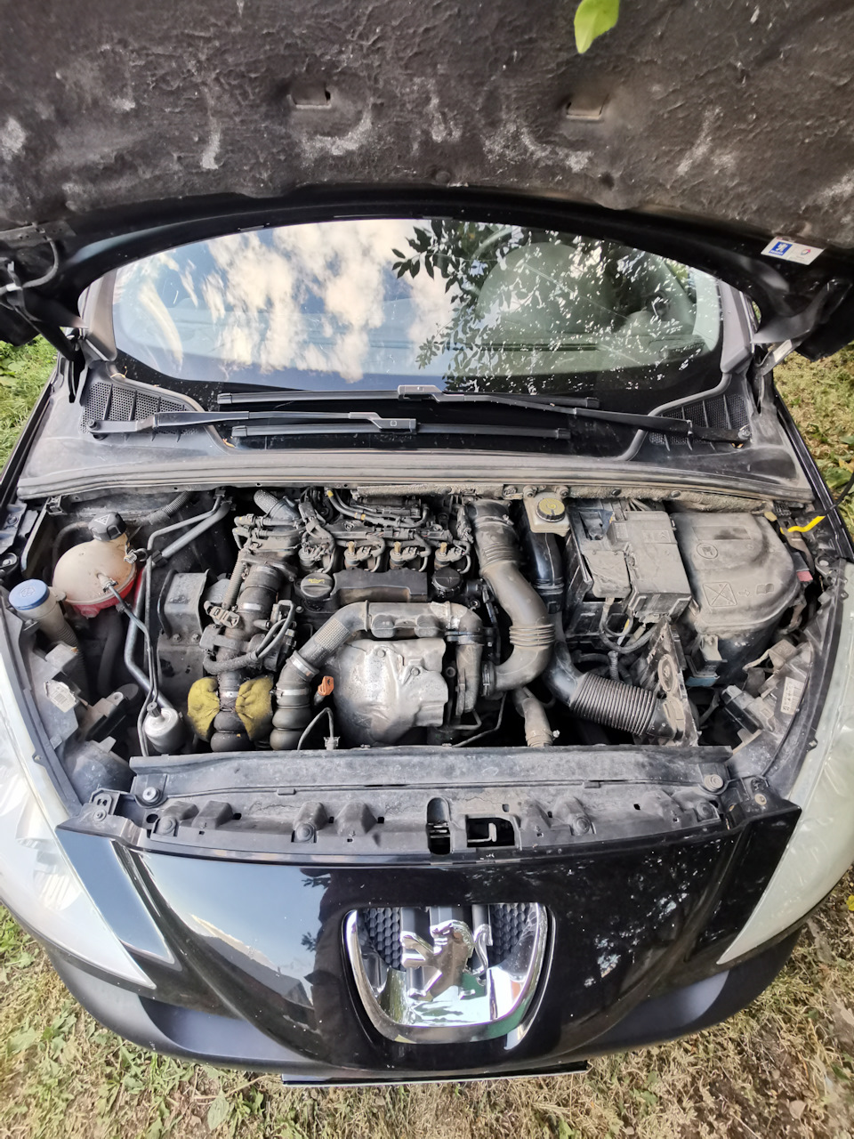 Установка маслоуловителя — Peugeot 308 (1G), 1,6 л, 2010 года | тюнинг ...