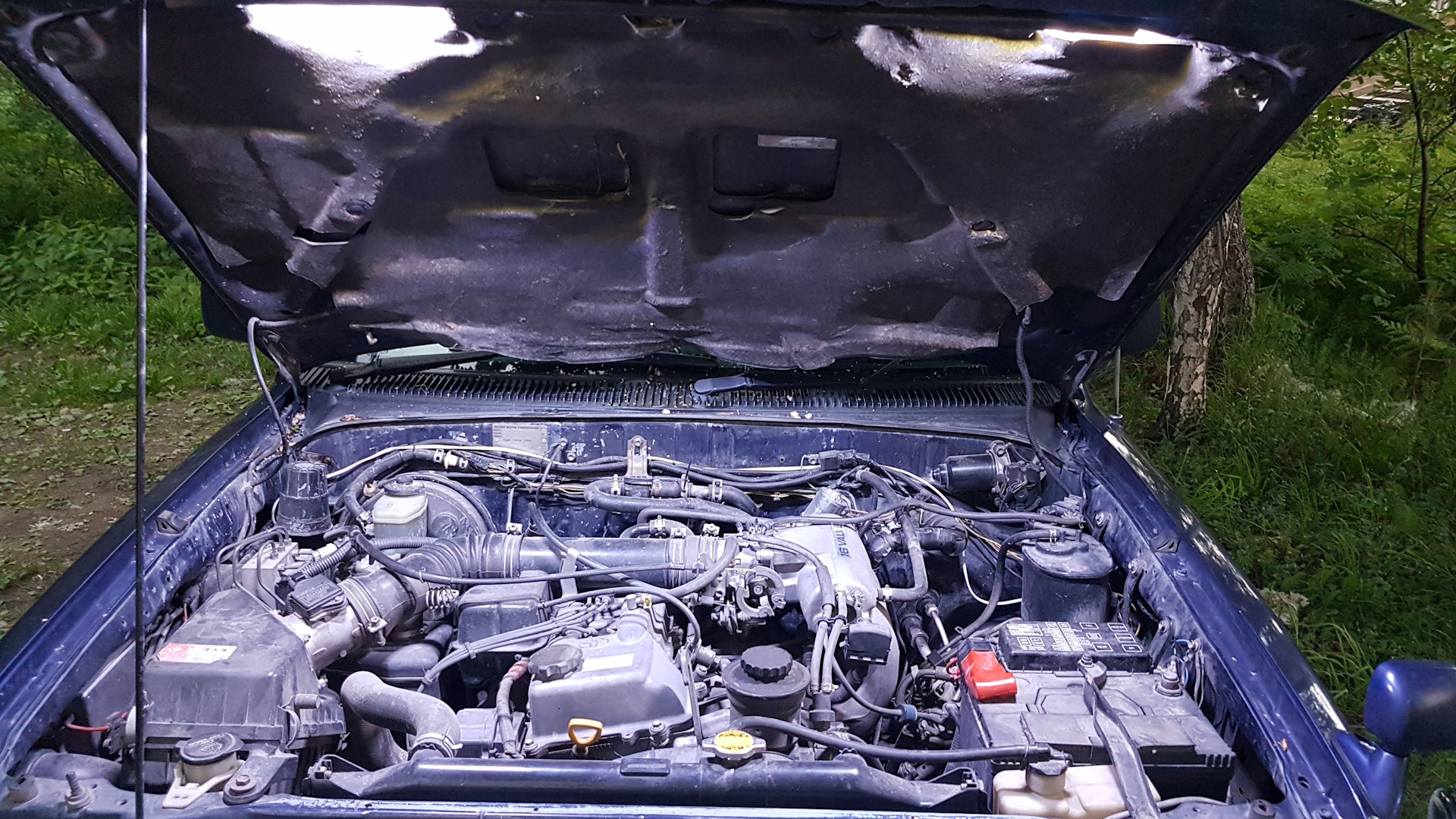 Под капотом мончегорск. Под капотом мончегорск. Под капотом мончегорск. Toyota camry под капотом. Калина 1 под капотом.