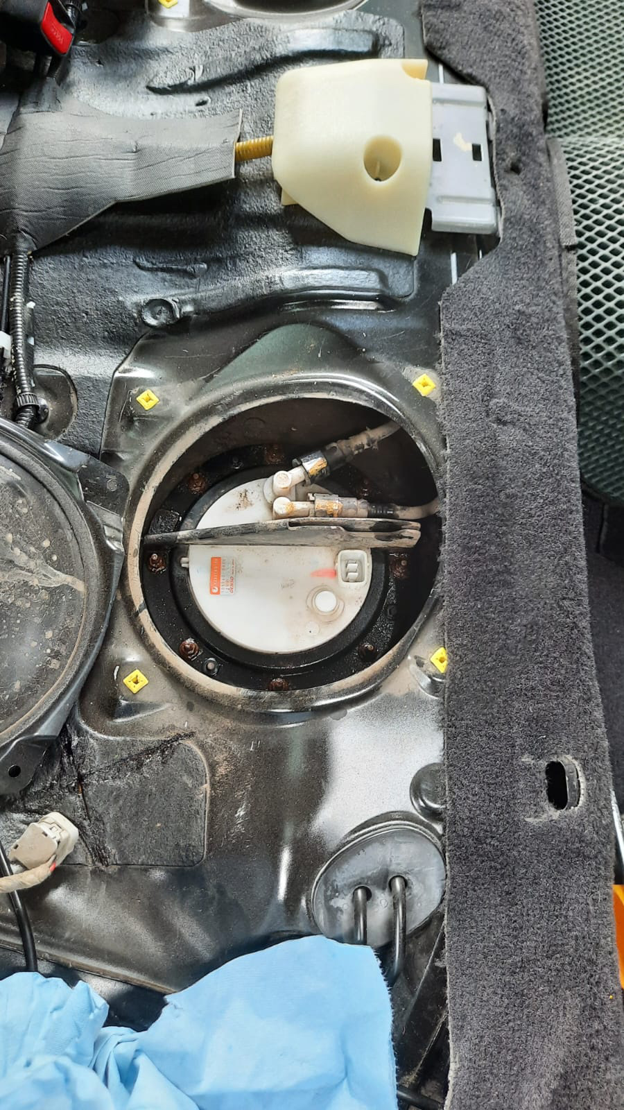 Фото в бортжурнале Subaru Outback (BP)