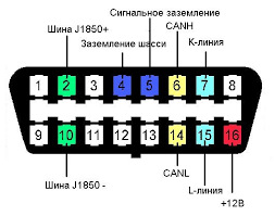 Bms leaf на столе