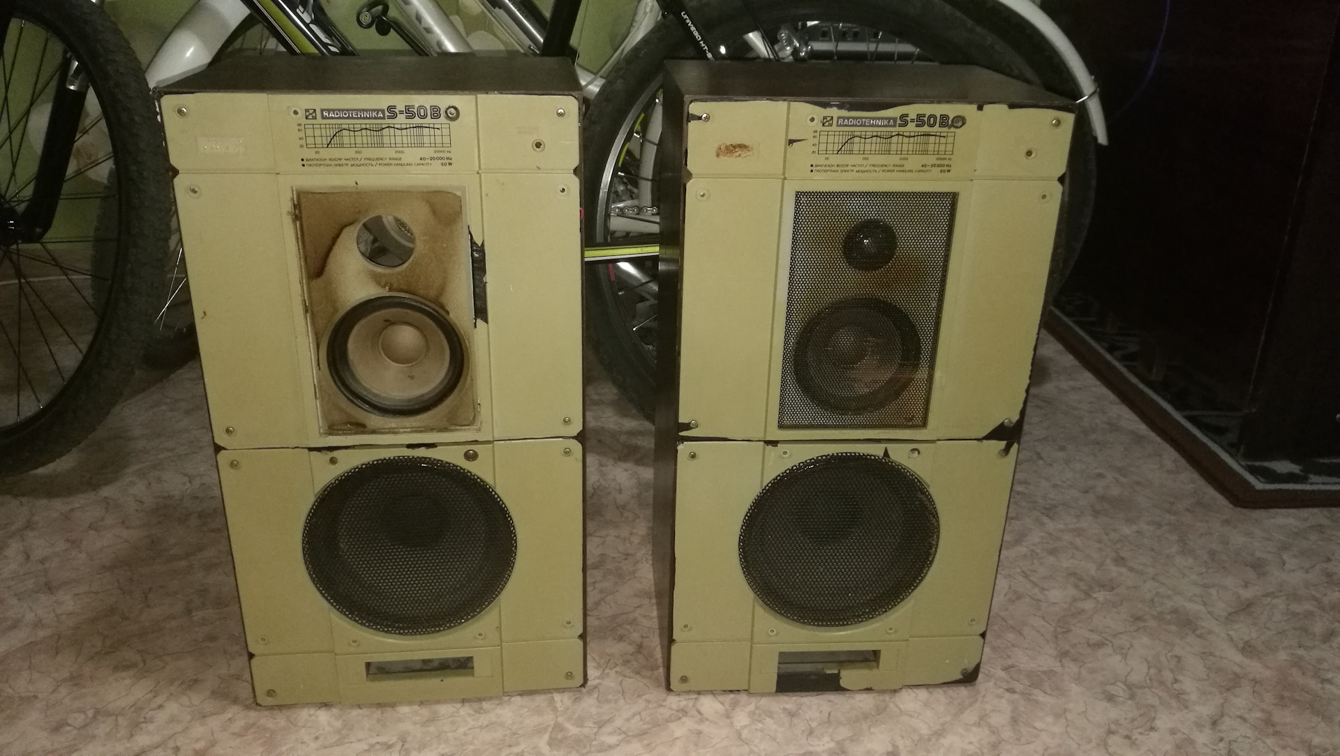 S 50. Колонки Radiotehnika s-50b. Radiotehnika s-50b акустика. Колонки с50 радиотехника. Radiotehnika s-50 динамики.