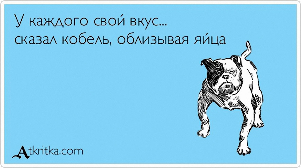 ниссан кашкай или рено колеос что лучше. Смотреть фото ниссан кашкай или рено колеос что лучше. Смотреть картинку ниссан кашкай или рено колеос что лучше. Картинка про ниссан кашкай или рено колеос что лучше. Фото ниссан кашкай или рено колеос что лучше