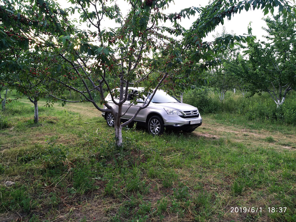 Фото в бортжурнале Honda CR-V (RE)